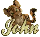 tiger cub john