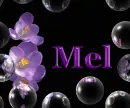 Mel-flower-bubbles