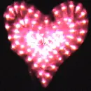 Dinah in Pink Heart
