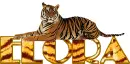 tiger name-girl or boy Elora