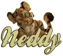 tiger cub neddy