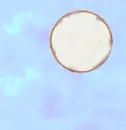 Fairymoon with Dragon Fading