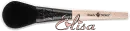 Elisa
