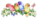 Colorful Glitter Sparkle Birds