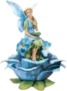 Fairyrose Blue