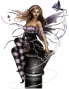 Pole Fairy