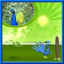 Proud Peacock Mirror