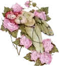 Sleeping Rose Fairy