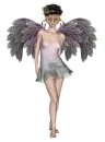 Masquarade Fairy