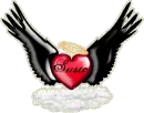4-susie