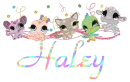 Haley