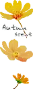 AUTUMN SCENT