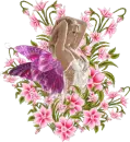 Enchanted Sensual Fairy