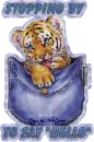 Stopping by to say Hello tiger