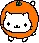 Orange cat 