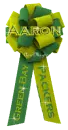 green bay packers bow aaron