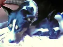 Abi and Orie close up