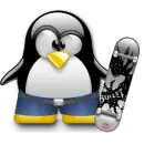 Skater Penguin