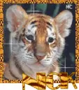 tiger cub name-nick