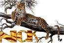 leopard name-nick