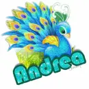 Peacock: Andrea