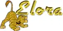 simba disney girl name