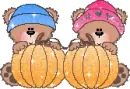 Pumpkin Bears