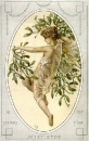 Pearl of Mistletoe