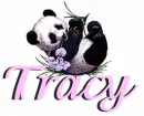 tracy