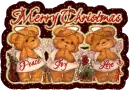 Merry Christmas bears