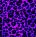 purple cheeta