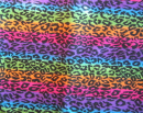 multi cheeta