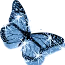 blue butterfly