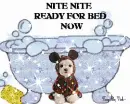 NITE NTE