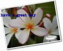 have a great raindow day