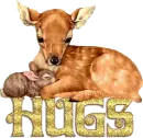 Deer Hugs