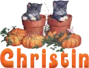 Christin - cats in flower pots with pumpkins