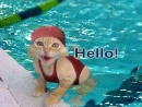 Hello