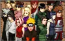 naruto shipuldan