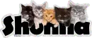Shonna (Kittens)