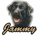Black Dog: Jammy