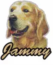 Brown Dog: Jammy