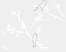 birds on the tree