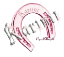 pink horseshoe karimi