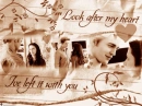 Twilight