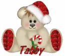 Christmas bear with Tabby name