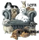 DOGS ON CHAIR