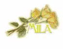 yellow roses name-Mila
