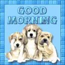 good morning