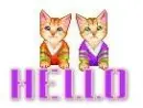 hello
